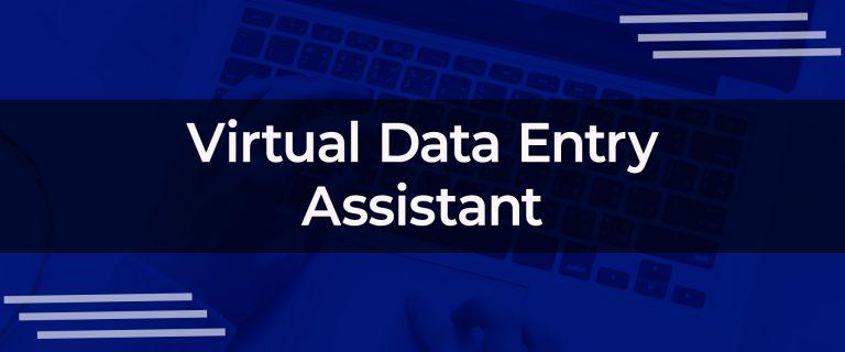 About virtual entry assistant