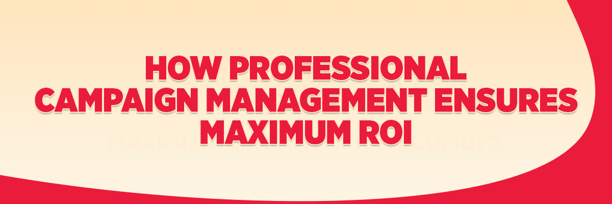 How Professional Campaign Management Ensures Maximum ROI