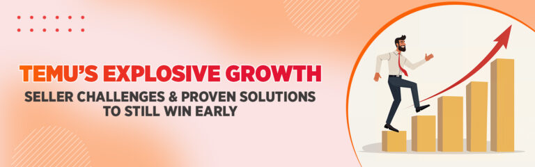 Temu Account Management Services: How Sellers Can Still Win