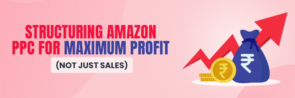 Structuring Amazon PPC for Maximum Profit (Not Just Sales) | Amazon PPC Management Services